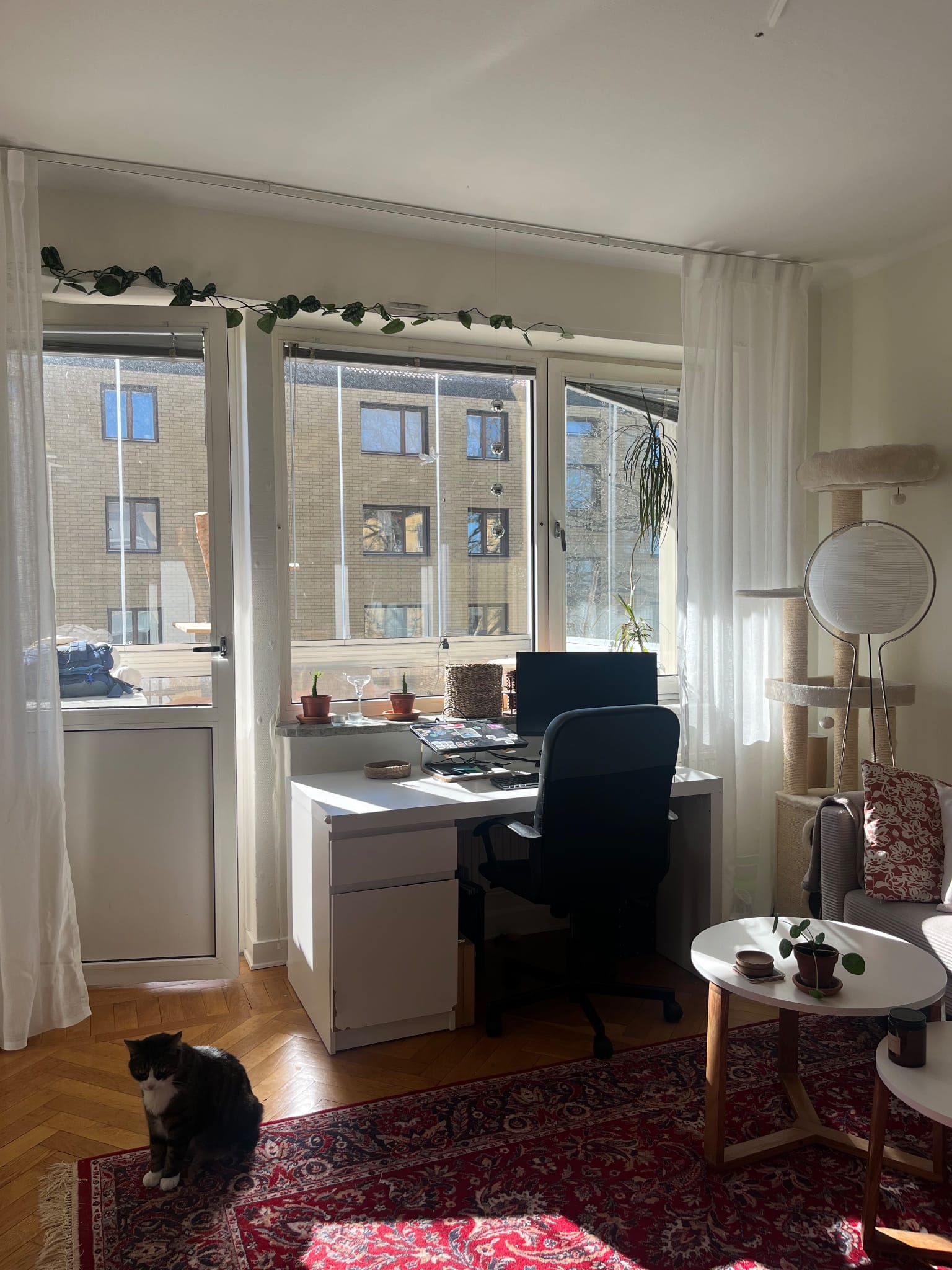 1-room apartment in Karlskrona, Fogdevägen - image 4